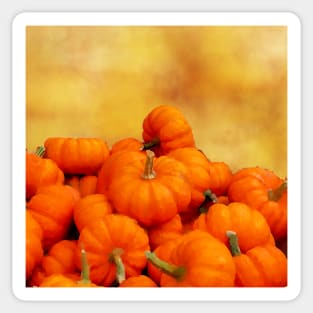 Celebrate Fall with Orange Watercolor Pumpkin Patch Sticker